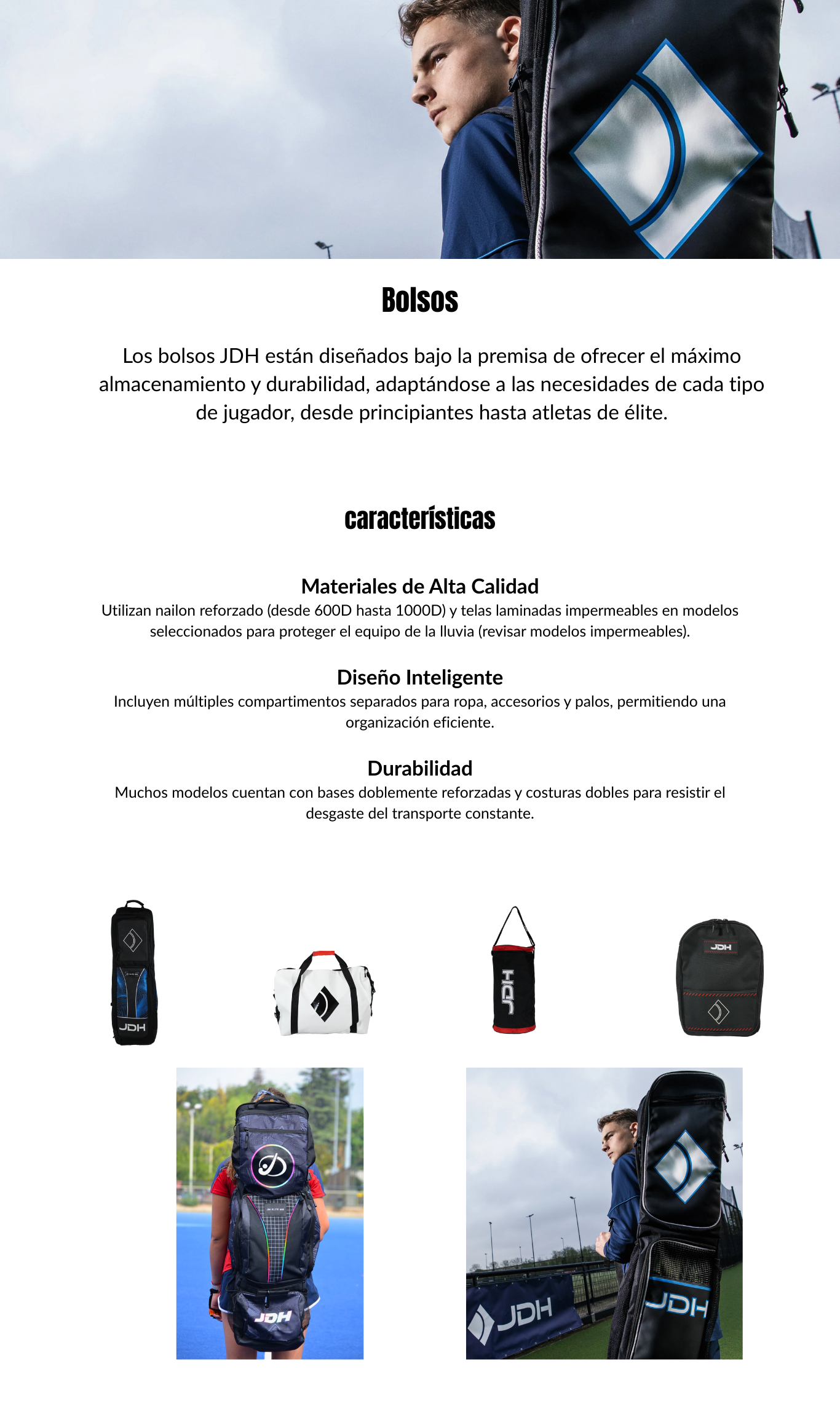 diseño pagina web (2)